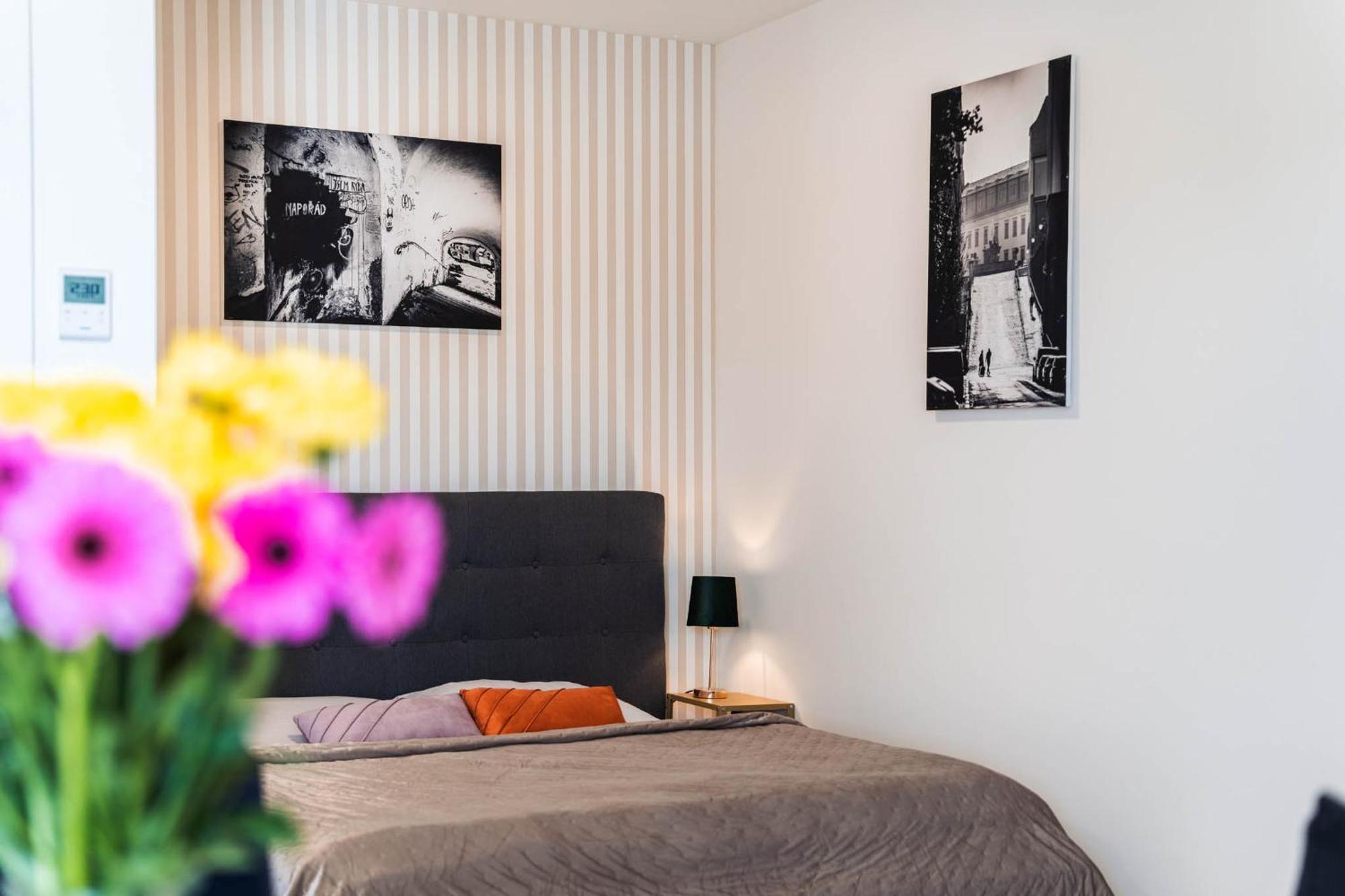 Silvie Apartments - Wolkerova Olomouc Esterno foto